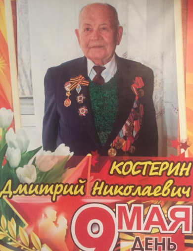 Костерин Дмитрий Николаевич