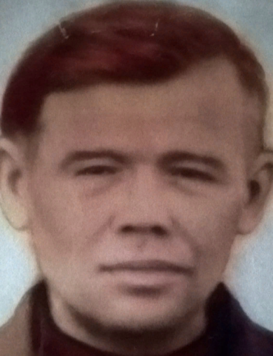 Никиткин Марк Тимофеевич