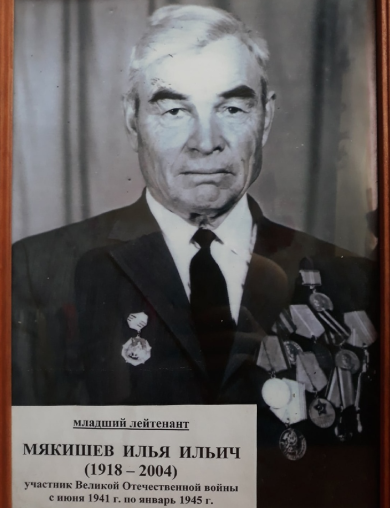 Мякишев Илья Ильич