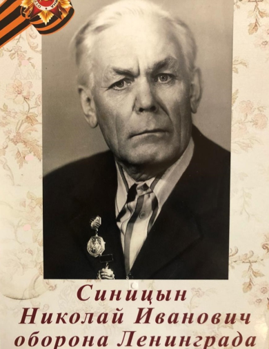 Синицын Николай Иванович