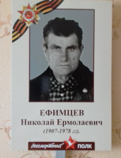 Ефимцев Николай Ермолаевич