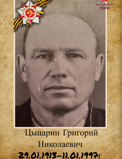 Цыцарин Григорий Николаевич