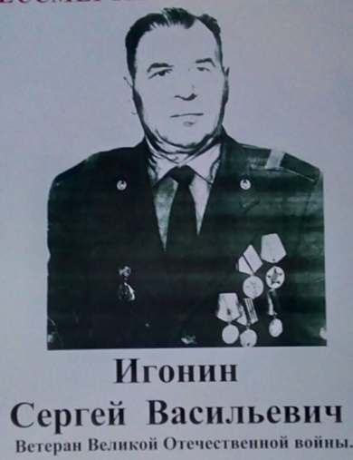 Игонин Сергей Васильевич