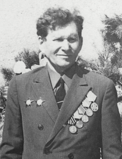 Медведев Николай Аникеевич