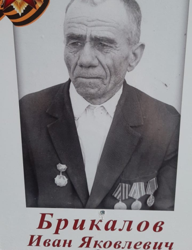 Брикалов Иван Яковлевич