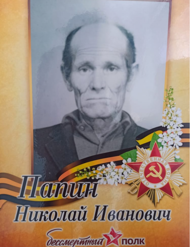 Папин Николай Иванович