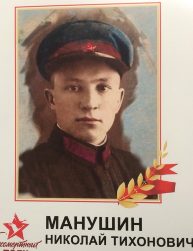 Манушин Николай Тихонович