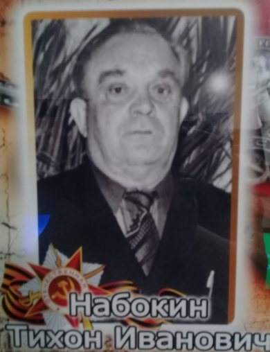 Набокин Тихон Иванович