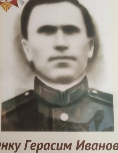 Гынку Герасим Иванович