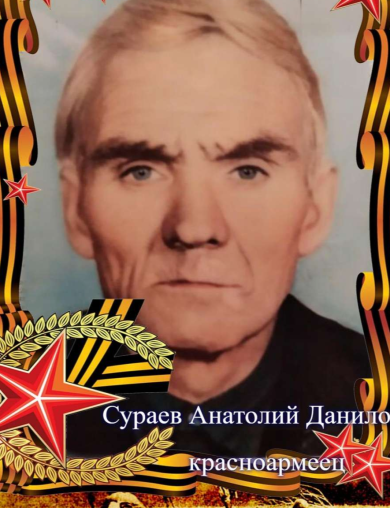 Сураев Анатолий Данилович