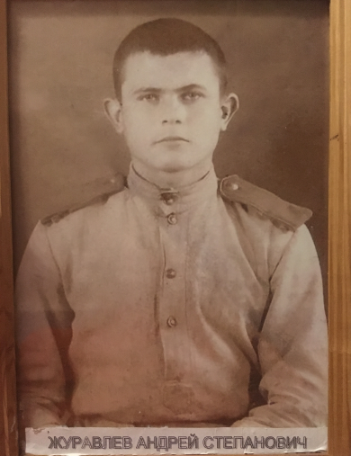 Журавлёв Андрей Степанович