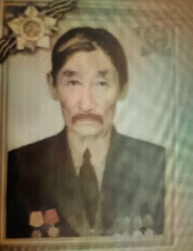 Джанаев Басанг Гаряевич