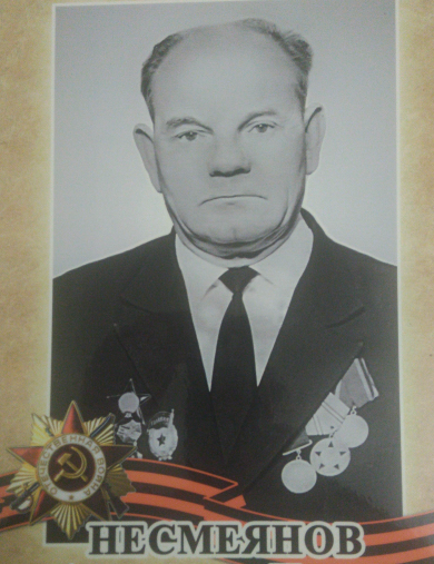 Несмеянов Александр Ильич