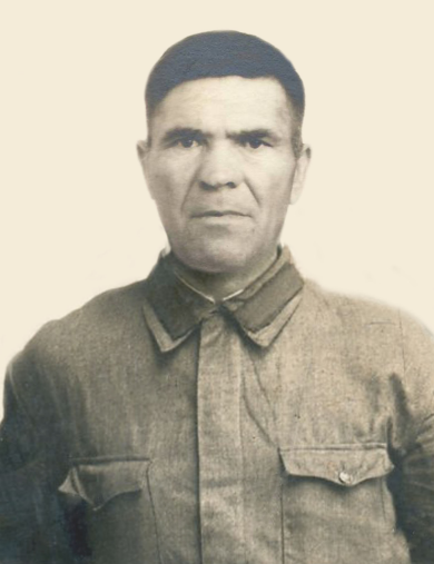 Курнаев Михаил Кузьмич