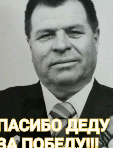 Амелёхин Дмитрий Акимович