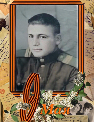 Гейман Николай Николаевич