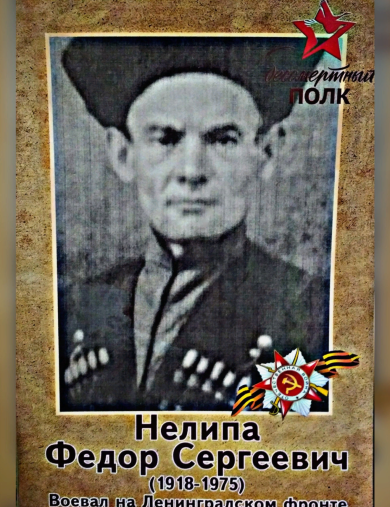 Нелипа Федор Сергеевич