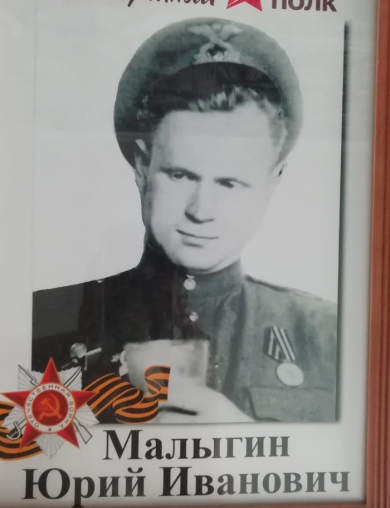 Малыгин Юрий Иванович