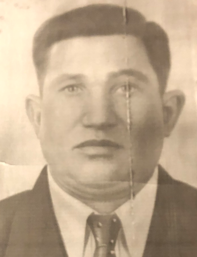 Паркин Николай Михайлович
