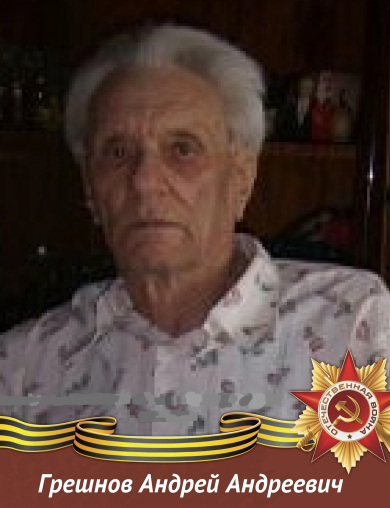Грешнов Андрей Андреевич