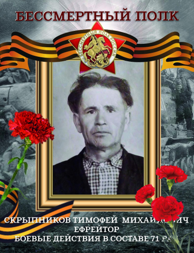 Скрыпников Тимофей Михайлович
