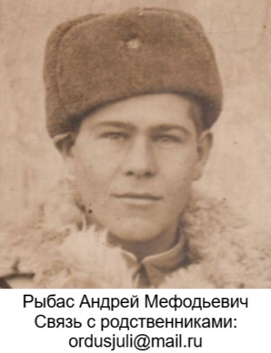 Рыбас Андрей Мефодьевич