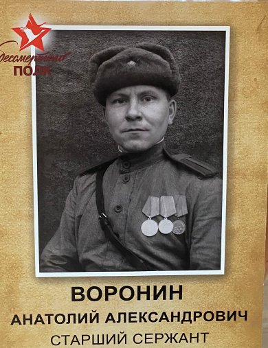 Воронин Анатолий Александрович