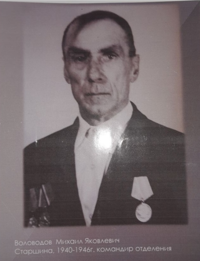 Воловодов Михаил Яковлевич