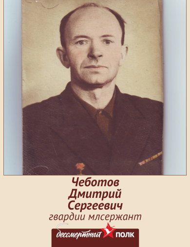 Чеботов Дмитрий Сергеевич