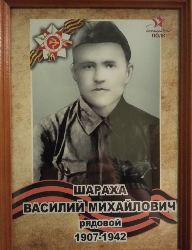 Шараха Василий Михайлович