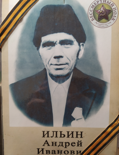 Ильин Андрей Иванович
