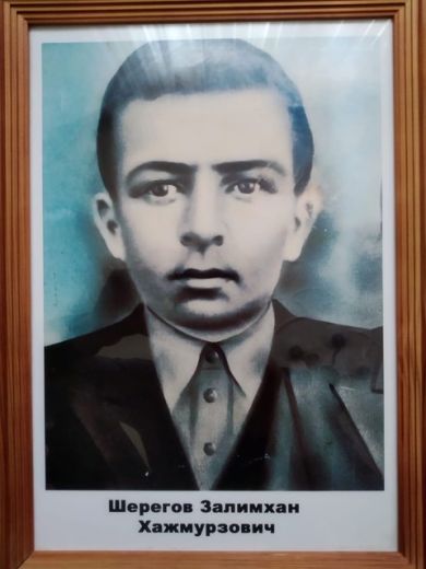 Шерегов Залимхан Хажмурзович
