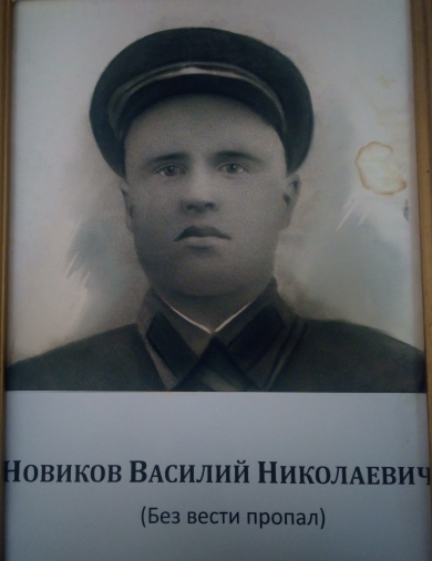 Новиков Василий Николаевич