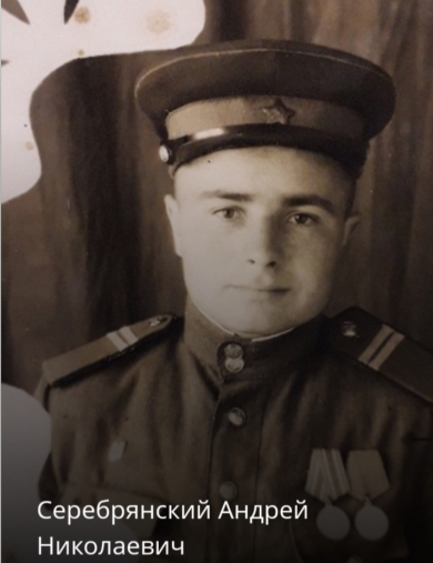 Серебрянский Андрей Николаевич