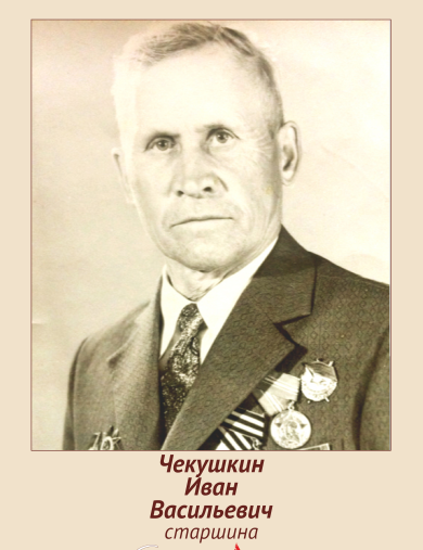 Чекушкин Иван Васильевич