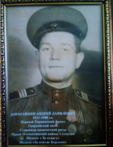 Дорогайкин Андрей Данилович