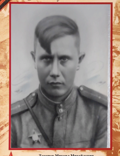 Токарев Михаил Михайлович