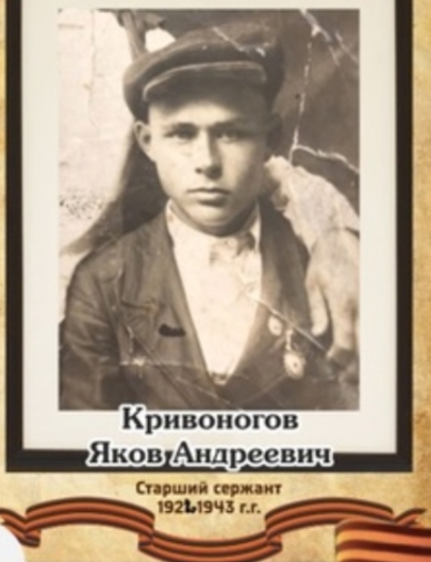 Кривоногов Яков Андреевич