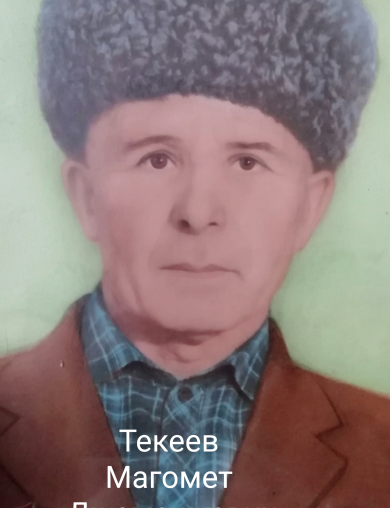 Текеев Магомет Джамашуевич