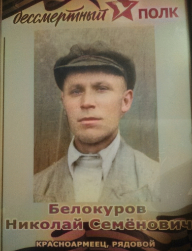 Белокуров Николай Семенович