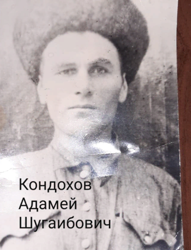 Кондохов Адамей Шугаибович