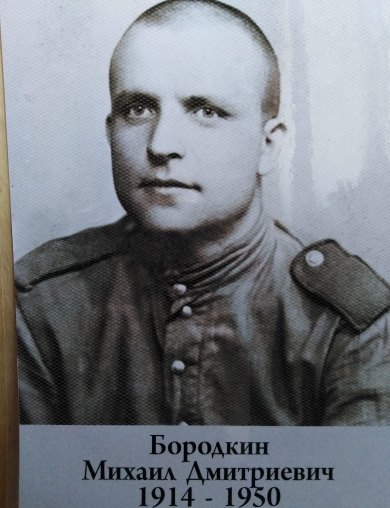 Бородкин Михаил Дмитриевич