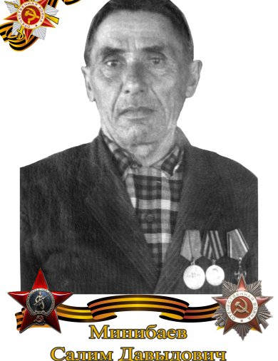 Минибаев Александр (Салим) Давыдович