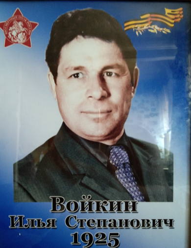 Войкин Илья Степанович
