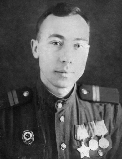 Волков Алексей Дмитриевич