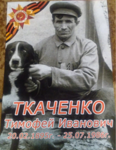 Ткаченко Тимофей Иванович