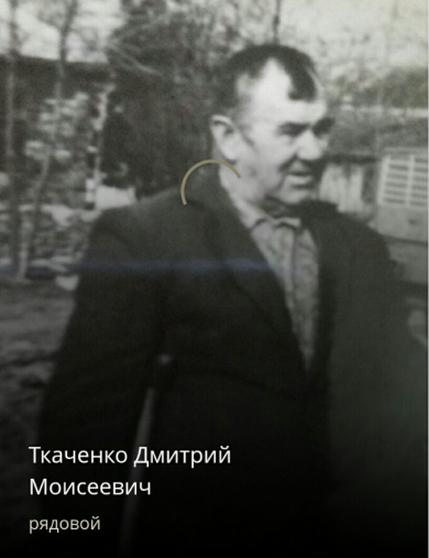 Ткаченко Дмитрий Моисеевич