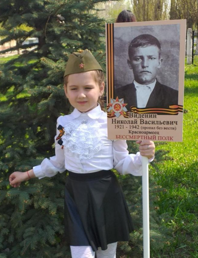 Виденин Николай Васильевич
