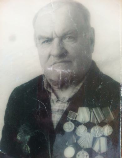 Снигерев Николай Дмитриевич