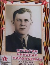 Шульгин Николай Николаевич
